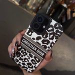 قاب DIOR black/white