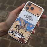 قاب Hermes case