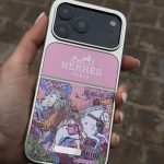 قاب Hermes case